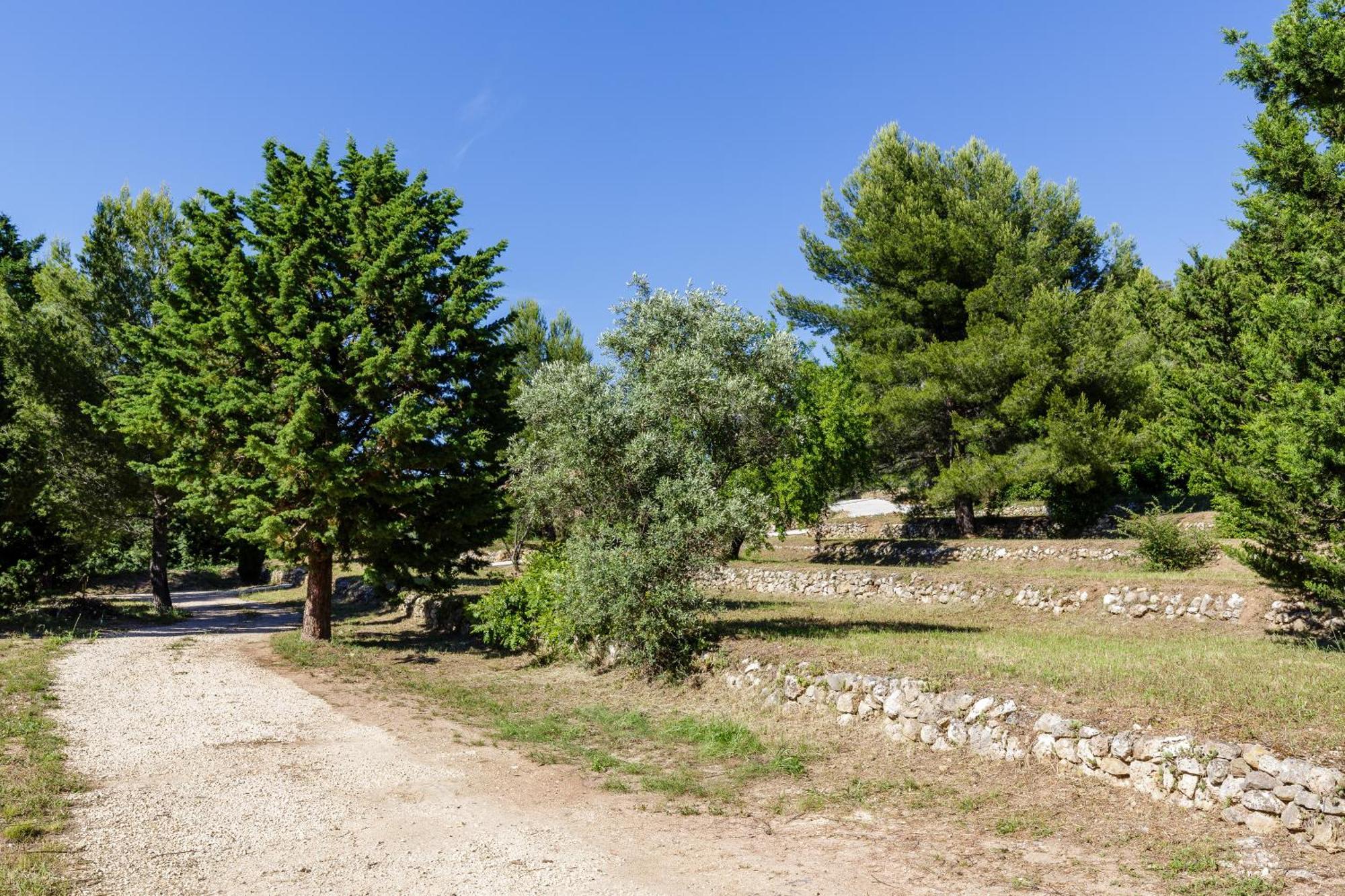 LODGES PARK CASTELLET PROVENCE - Gîtes dans les vignes AOC Bandol à 15 min des plages et du Circuit Paul Ricard F1 Le Beausset Camera foto